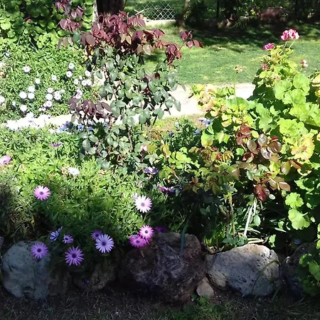 Sun Garden 度假居