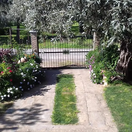 度假居 Sun Garden