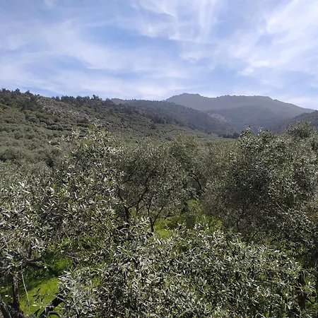 度假居 Sun Garden *