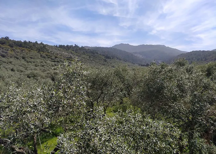 度假居 Sun Garden *