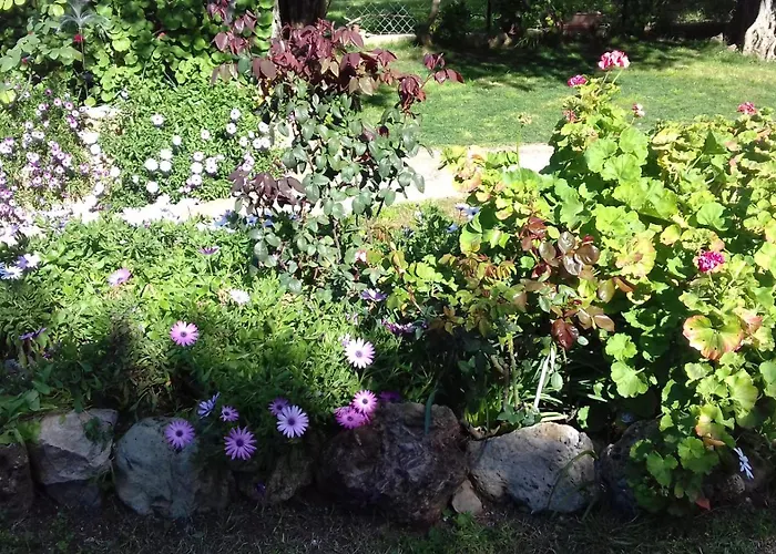 Sun Garden Ferienhaus